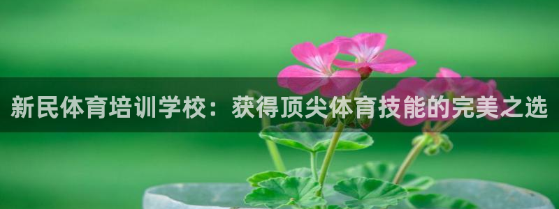 极悦平台注册用户名格式错误：新民体育培训学校：获得顶