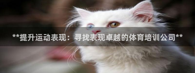 极悦平台官网登录网址：**提升运动表现：寻找表现卓越