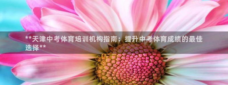 极悦平台决7O777：**天津中考体育培训机构指南：