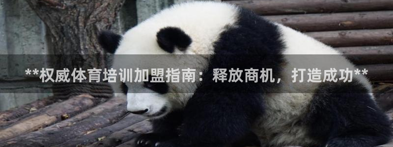 极悦平台官网登录不了了：**权威体育培训加盟指南：释