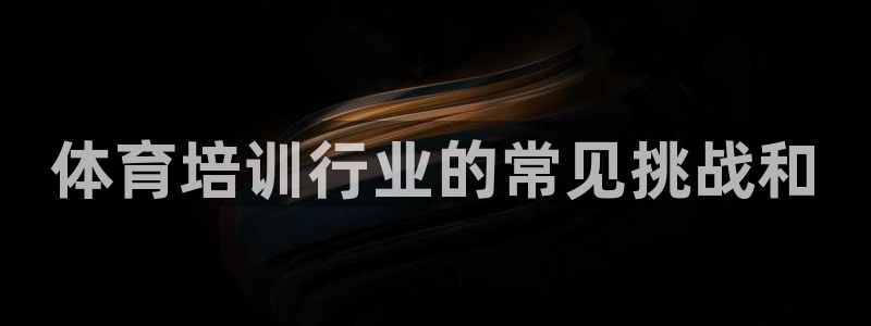 极悦平台注册用户名格式：体育培训行业的常见挑战和