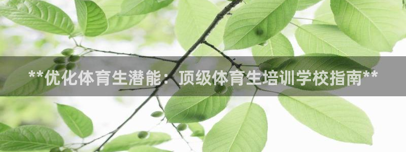 极悦平台注册太7.0.2.4.4更新内容：**优化体