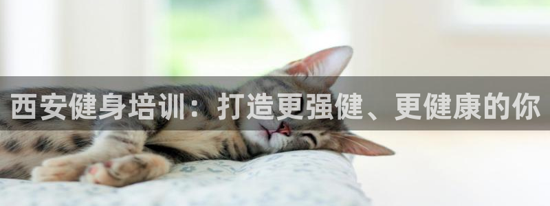 极悦平台代理电话：西安健身培训：打造更强健、更健康的