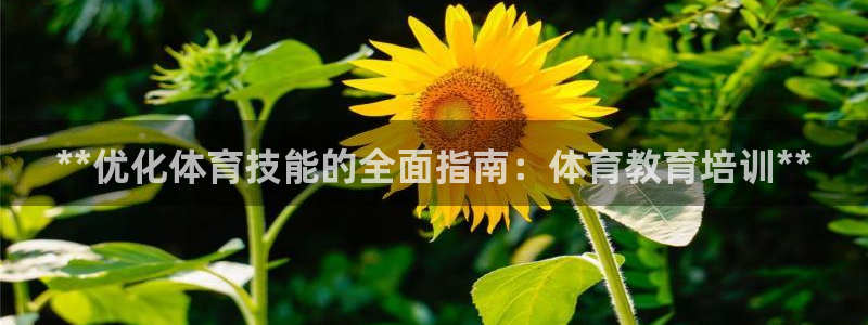 极悦平台注册官方网站下载安卓手机：**优化体育技能的