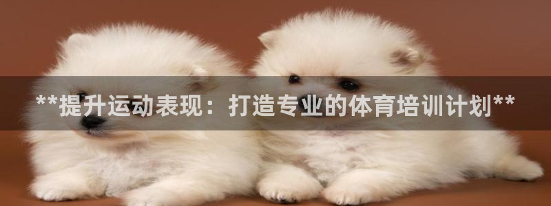 极悦平台注册失败如何解决：**提升运动表现：打造专业