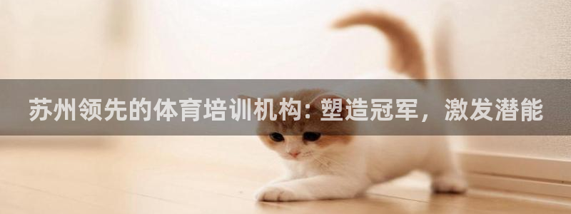 极悦平台决7O777：苏州领先的体育培训机构: 塑造