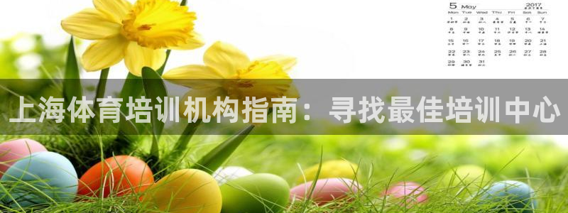 极悦平台代理怎么做：上海体育培训机构指南：寻找最佳培