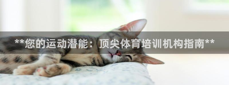 极悦平台安全吗可靠吗：**您的运动潜能：顶尖体育培训