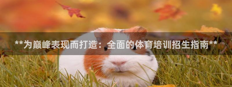 极悦平台看7O777：**为巅峰表现而打造：全面的体