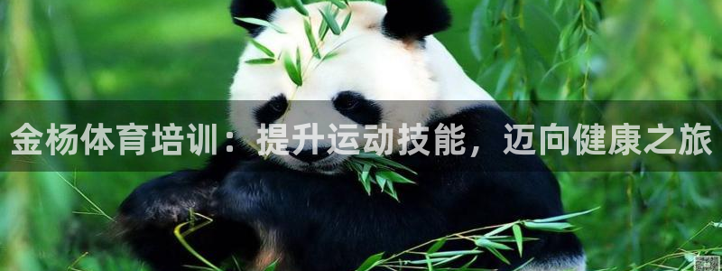 极悦官方网站入口网址是多少：金杨体育培训：提升运动技