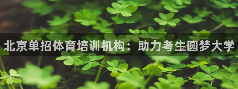 极悦平台股东：北京单招体育培训机构：助力考生圆梦大学