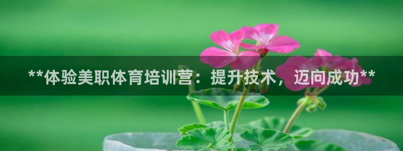 极悦是什么牌子空调的：**体验美职体育培训营：提升技