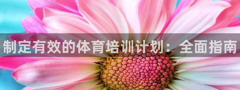 极悦平台官方网站首页登录：制定有效的体育培训计划：全