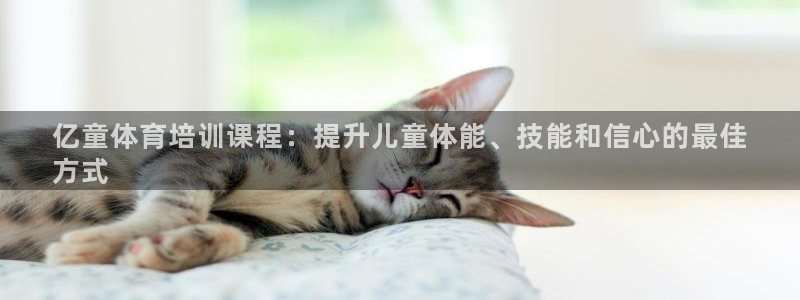 极悦平台注册失败如何解决问题：亿童体育培训课程：提升儿童体能