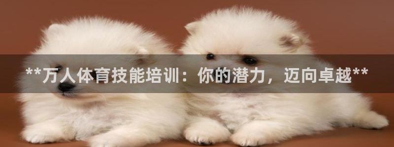 极悦平台安全吗：**万人体育技能培训：你的潜力，迈向