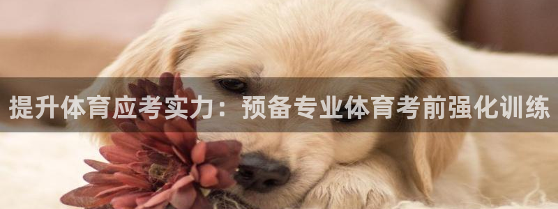极悦平台使用注意事项：提升体育应考实力：预备专业体育