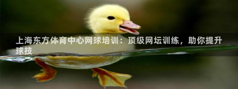 极悦平台注册资金多少钱：上海东方体育中心网球培训：顶
