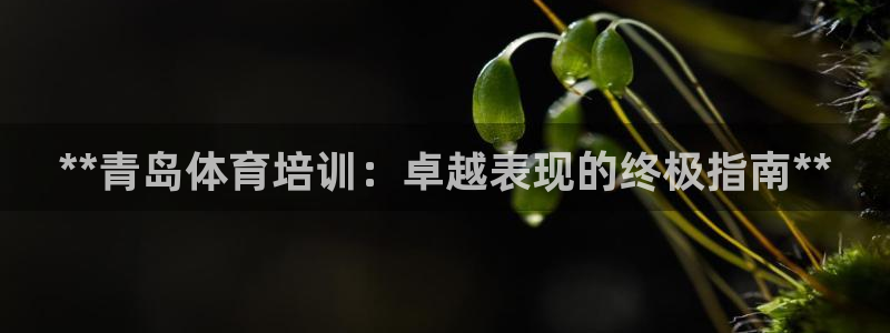 极悦娱乐会被骗吗知乎小说：**青岛体育培训：卓越表现