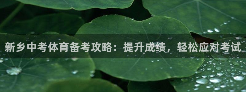 极悦平台家7O777：新乡中考体育备考攻略：提升成绩，轻松应
