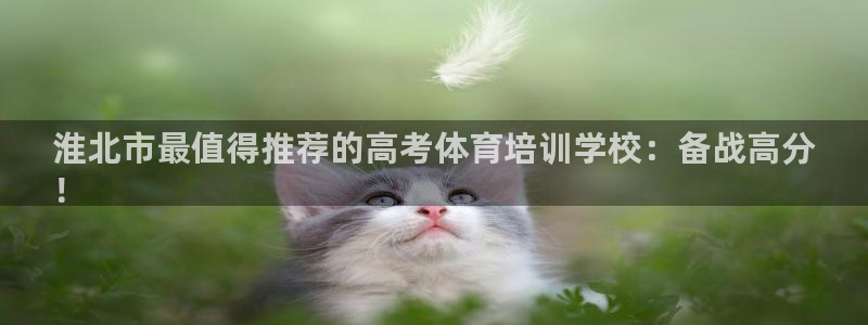极悦官网首页：淮北市最值得推荐的高考体育培训学校：备