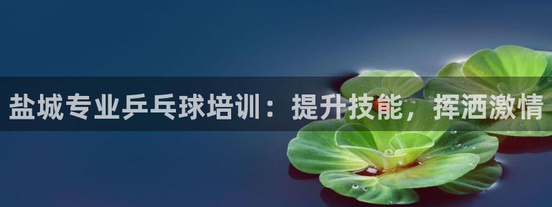 极悦平台安全吗：盐城专业乒乓球培训：提升技能，挥洒激