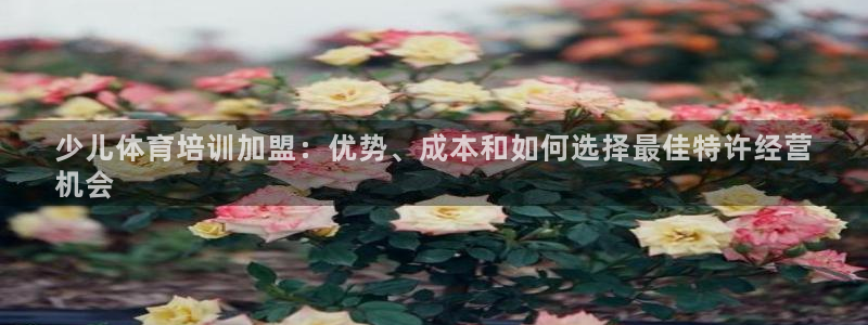极悦平台客服团队：少儿体育培训加盟：优势、成本和如何