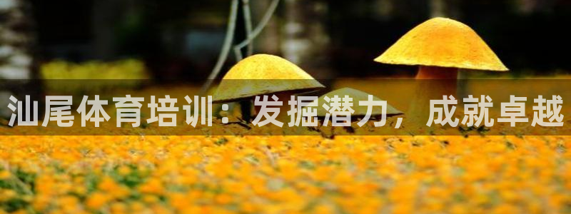 极悦娱乐官网app下载安装：汕尾体育培训：发掘潜力，