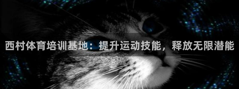 极悦平台注册申请流程详解图：西村体育培训基地：提升运