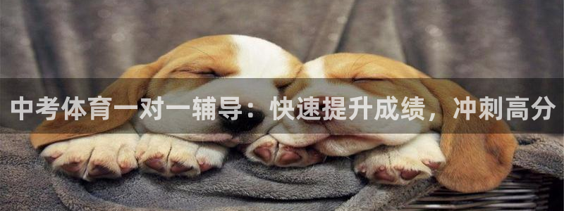 极悦平台官方网址：中考体育一对一辅导：快速提升成绩，冲刺高分