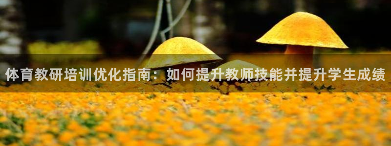 极悦平台官方网站首页入口：体育教研培训优化指南：如何
