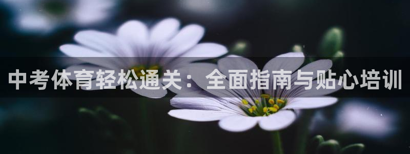 极悦平台平台注册方法与步骤是什么：中考体育轻松通关：