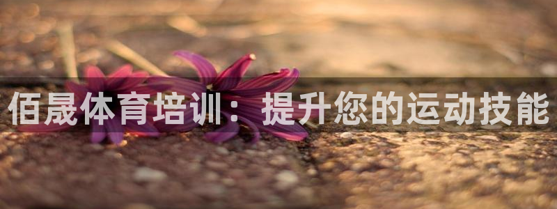 极悦娱乐登录网站每天的工作内容：佰晟体育培训：提升您