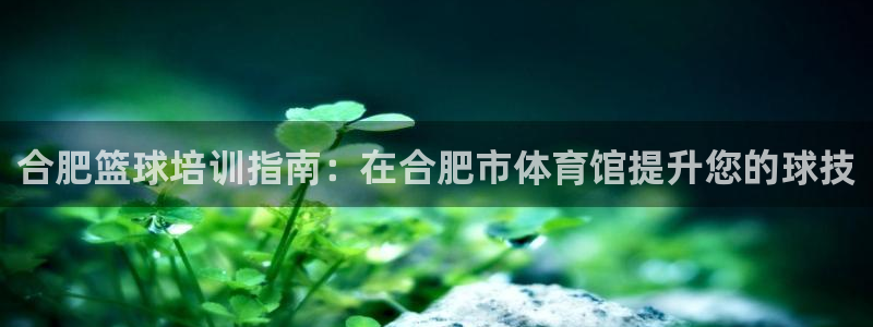 加盟极悦教育要多少钱：合肥篮球培训指南：在合肥市体育