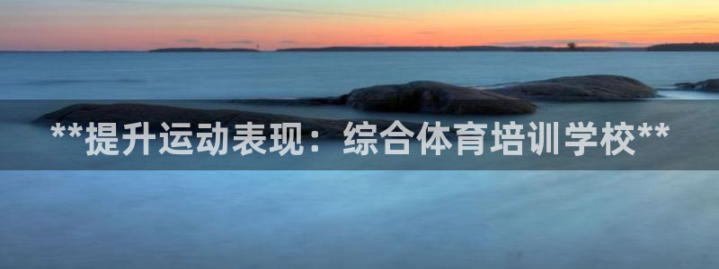 极悦官方网站：**提升运动表现：综合体育培训学校**