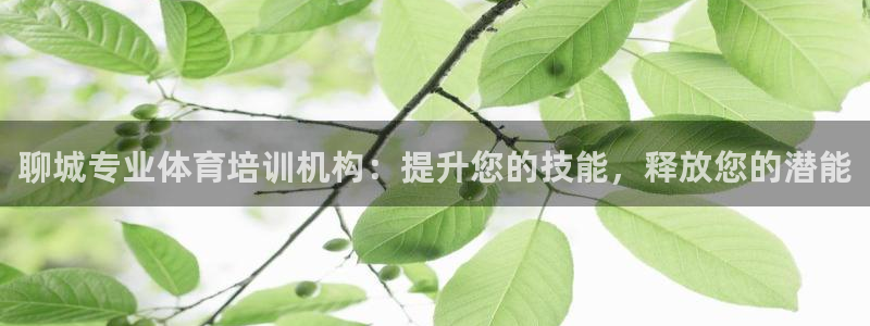 极悦平台官网登录入口网址：聊城专业体育培训机构：提升您的技能