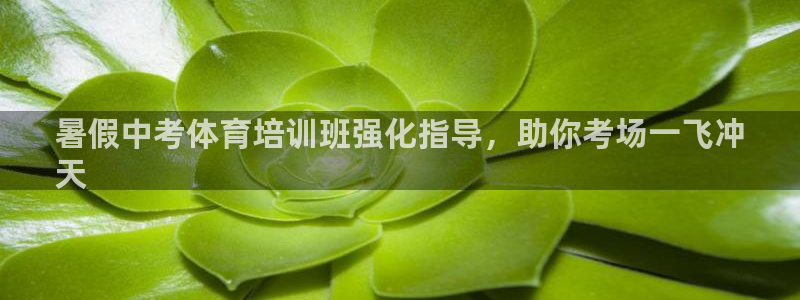 极悦平台登录不进去怎么回事儿：暑假中考体育培训班强化