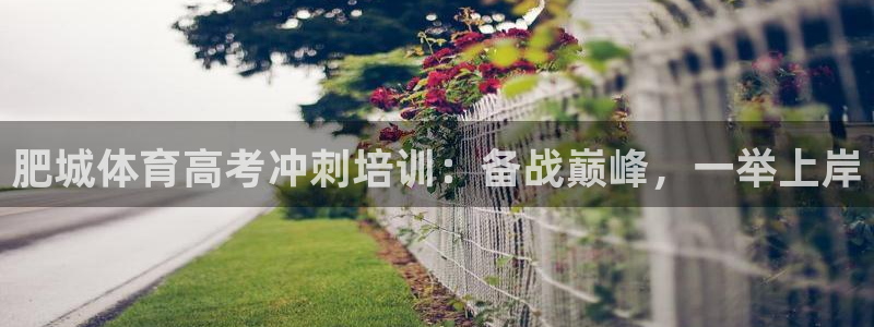 极悦娱乐官网最新版本更新内容视频：肥城体育高考冲刺培