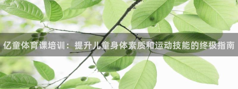 极悦平台注册官方网站下载安装苹果：亿童体育课培训：提