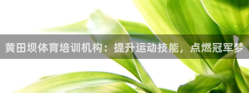 极悦娱乐负责人：黄田坝体育培训机构：提升运动技能，点燃冠军梦