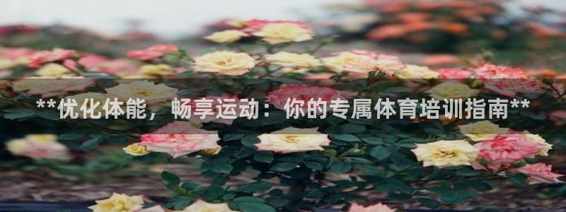 极悦平台官网入口网站：**优化体能，畅享运动：你的专