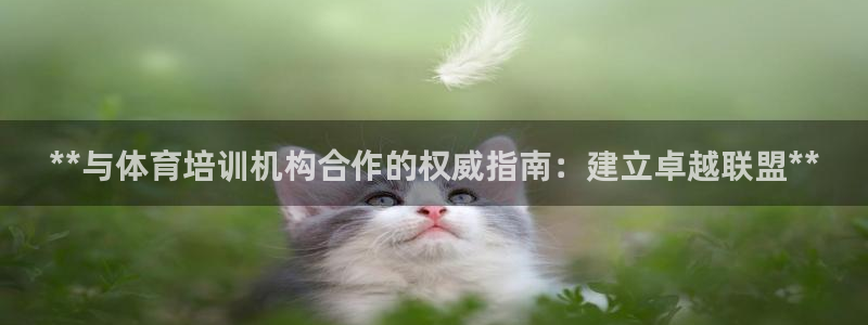 极悦娱乐分7O777：**与体育培训机构合作的权威指