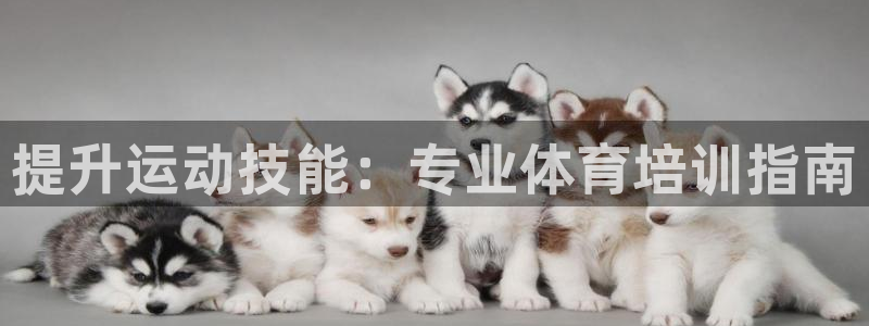 极悦平台安全吗是真的吗：提升运动技能：专业体育培训指南