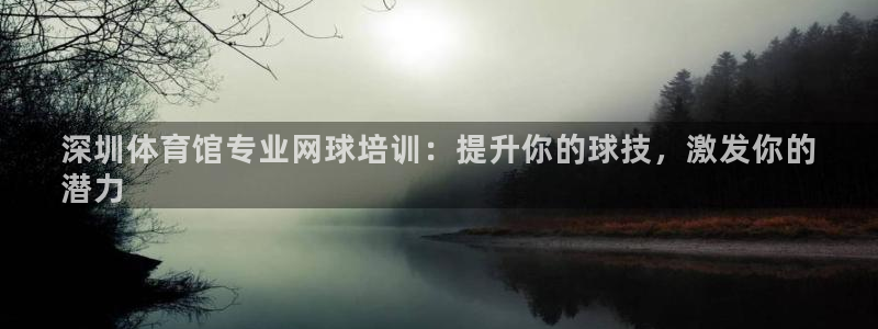 极悦平台客服的联系方式是多少：深圳体育馆专业网球培训：提升你