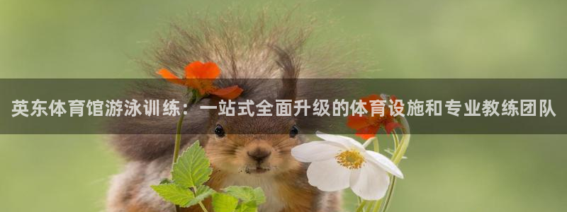 极悦平台用户评价与反馈在哪里