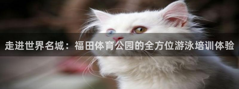 极悦平台和蓝狮平台区别：走进世界名城：福田体育公园的全方位游