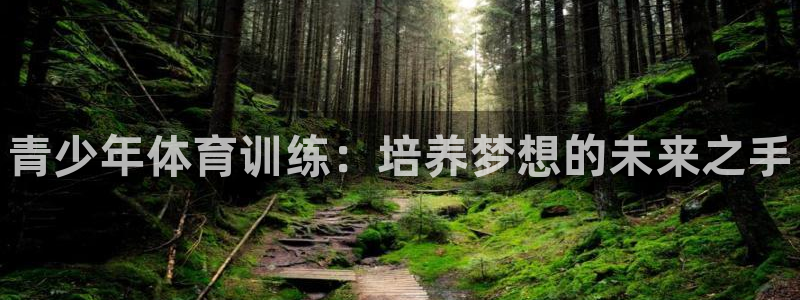 极悦娱乐代理多少钱一年：青少年体育训练：培养梦想的未