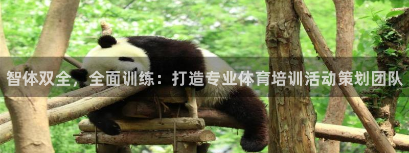 极悦平台德711.112的更新内容：智体双全，全面训