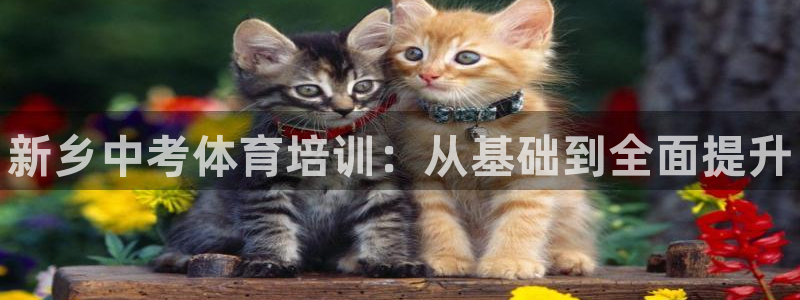 极悦是什么牌子空调的：新乡中考体育培训：从基础到全面