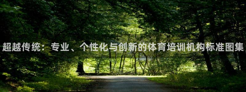 极悦平台有风险吗现在：超越传统：专业、个性化与创新的