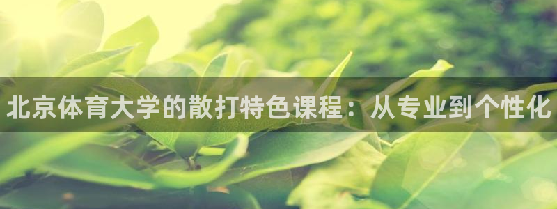 极悦官网首页：北京体育大学的散打特色课程：从专业到个性化